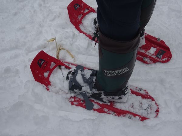 日本・北海道「北海道・知床流氷ツアー」の写真