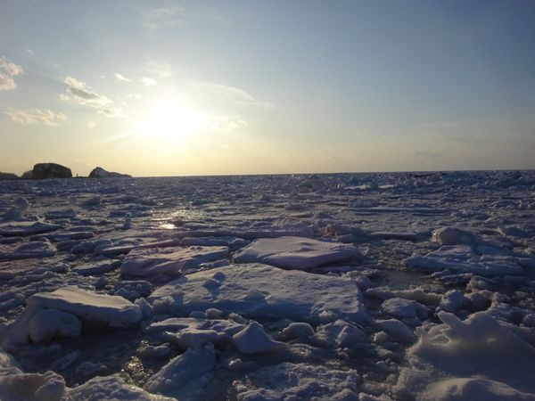 日本・北海道「北海道・知床流氷ツアー」の写真