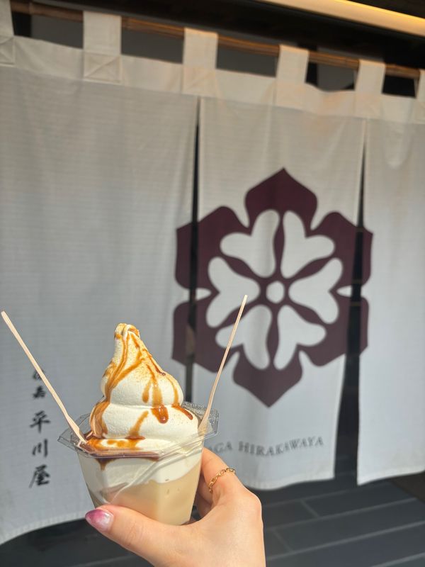 日本・佐賀県「佐賀：嬉野　2024.3」の写真