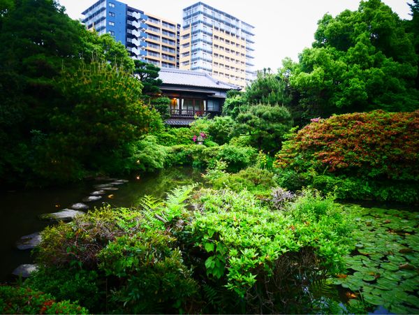 日本・佐賀県「福岡・佐賀・長崎 旅行」の写真：大丸別荘