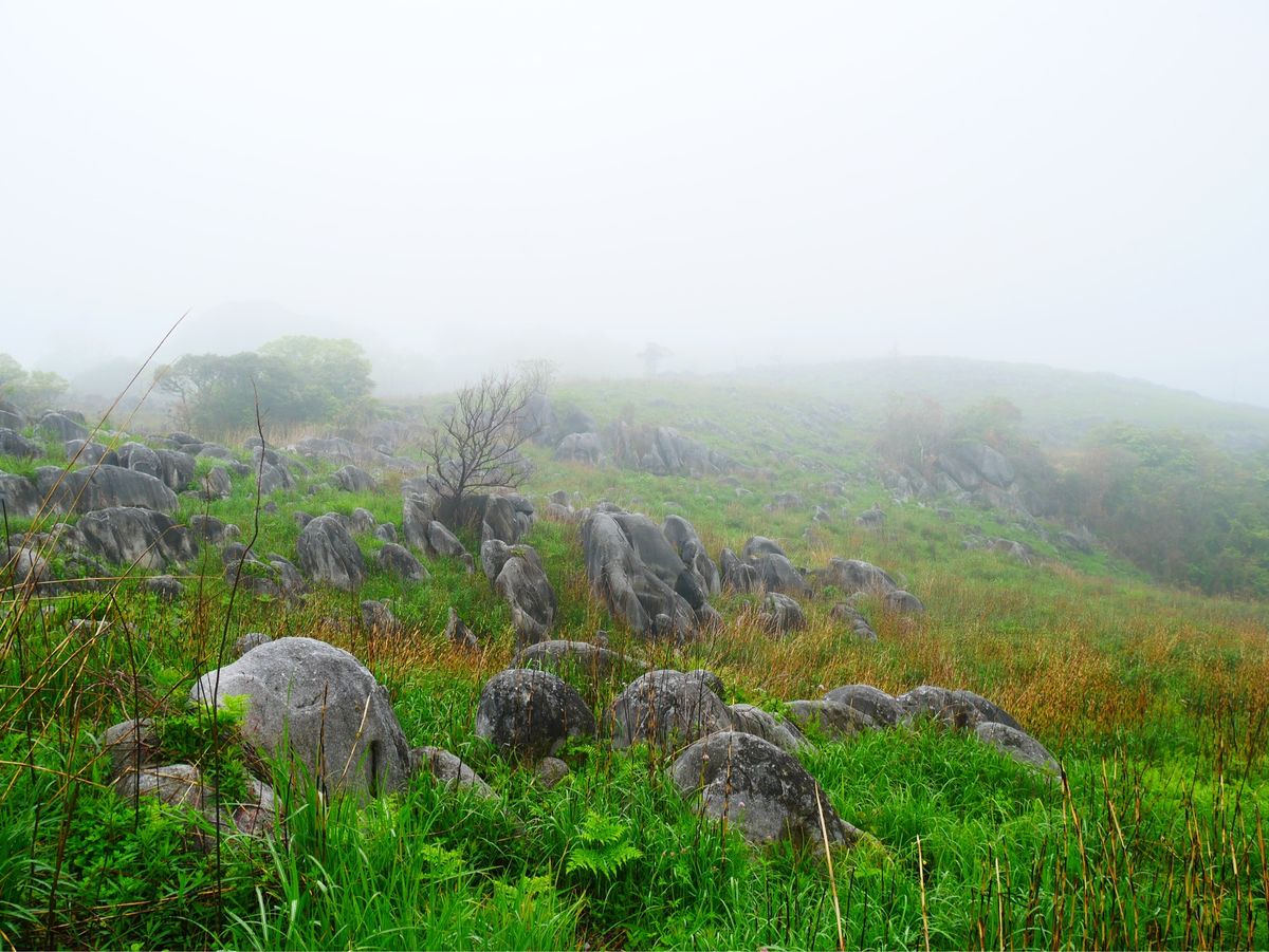 平尾台カルスト・皿倉山
