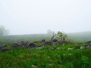 平尾台カルスト・皿倉山