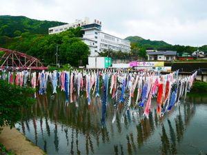 川上峡の鯉のぼり🎏