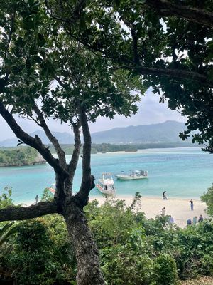 川平湾でグラスボート
定番の観光地らしい
青い珊瑚が気に入った

酔いやす...