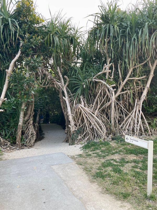 日本・沖縄県「石垣島」の写真：ホテル目の前のマエサトビーチ
こちらは人...