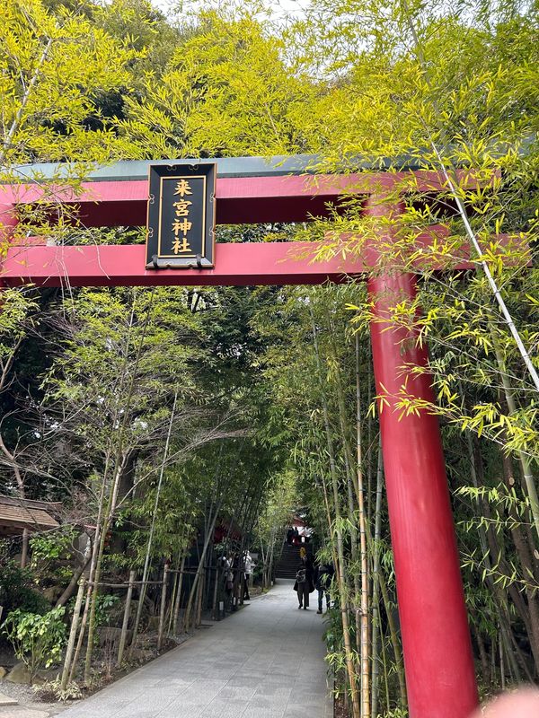 日本・静岡県「伊豆」の写真