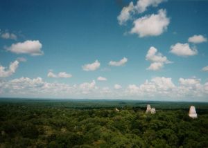 学生時代に行ったメキシコ〜中米の旅。
ティカル4号神殿からの眺めは最高でし...