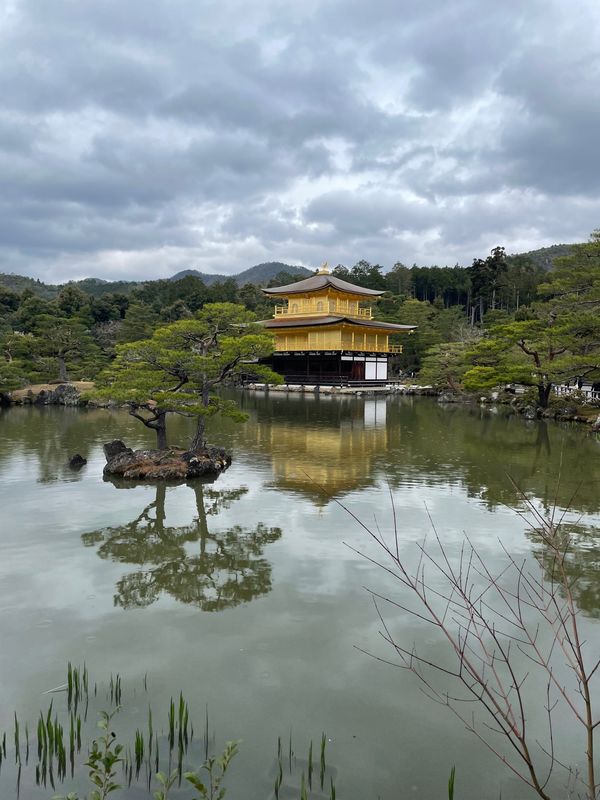 日本・京都「京都旅行」の写真：金閣寺
