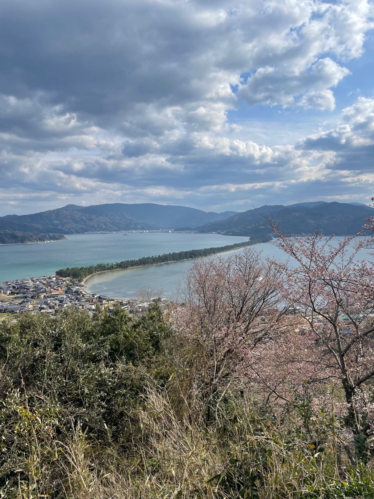 あさりどんと天橋立
