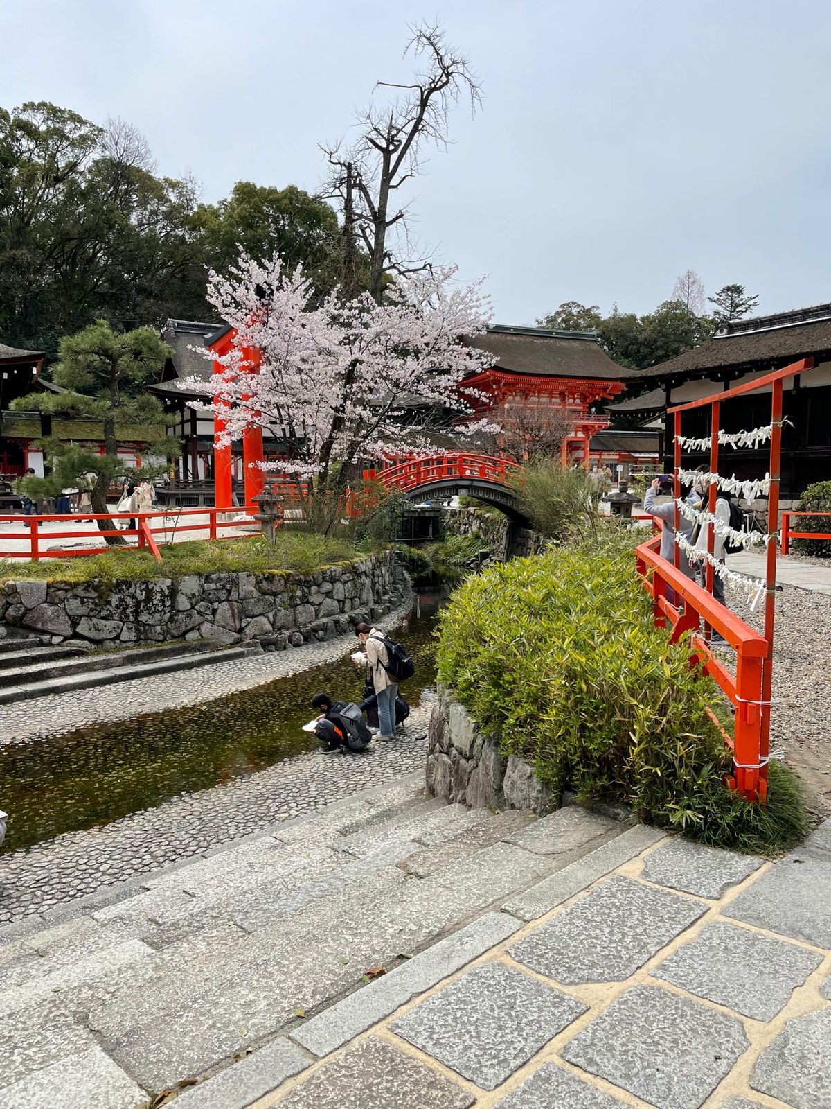 下鴨神社

みたらし団子の由来のみたらし（御手洗）
奥には瀬織津姫✨