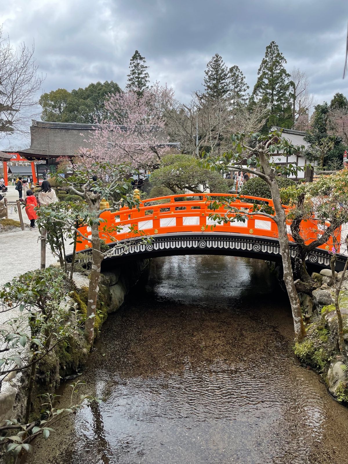 上賀茂神社⛩️