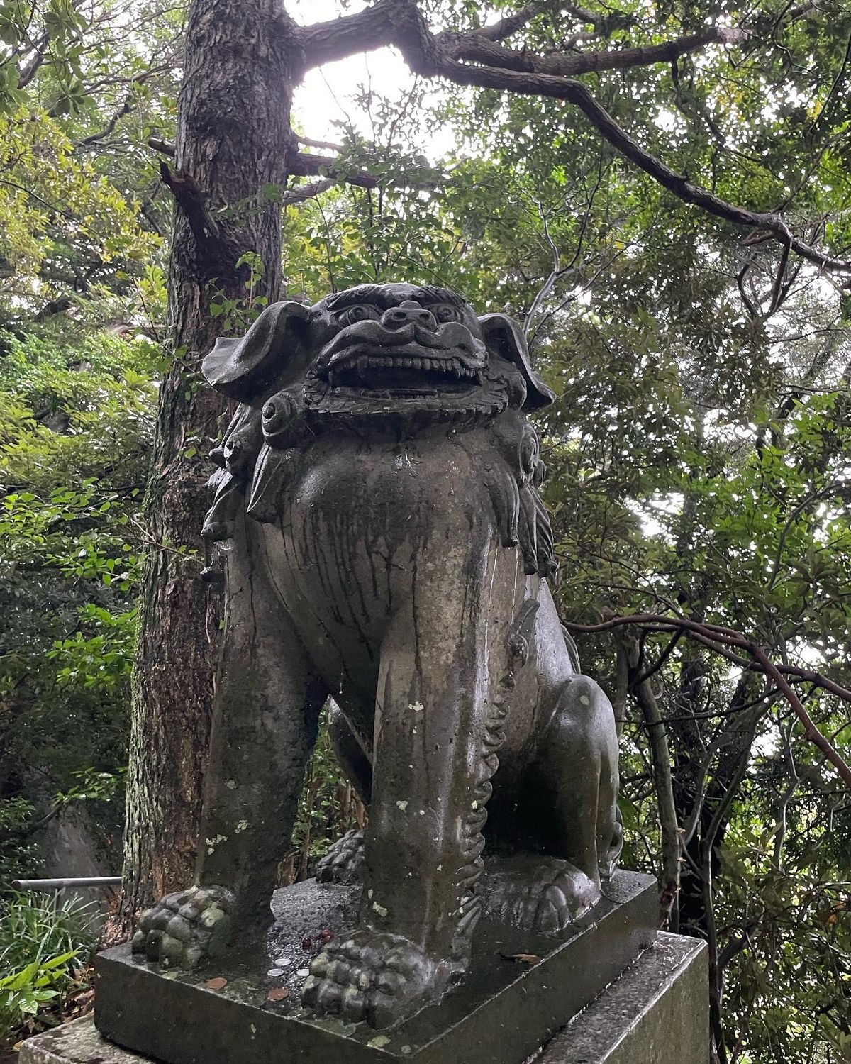 志賀海神社🦌🐉⛩️