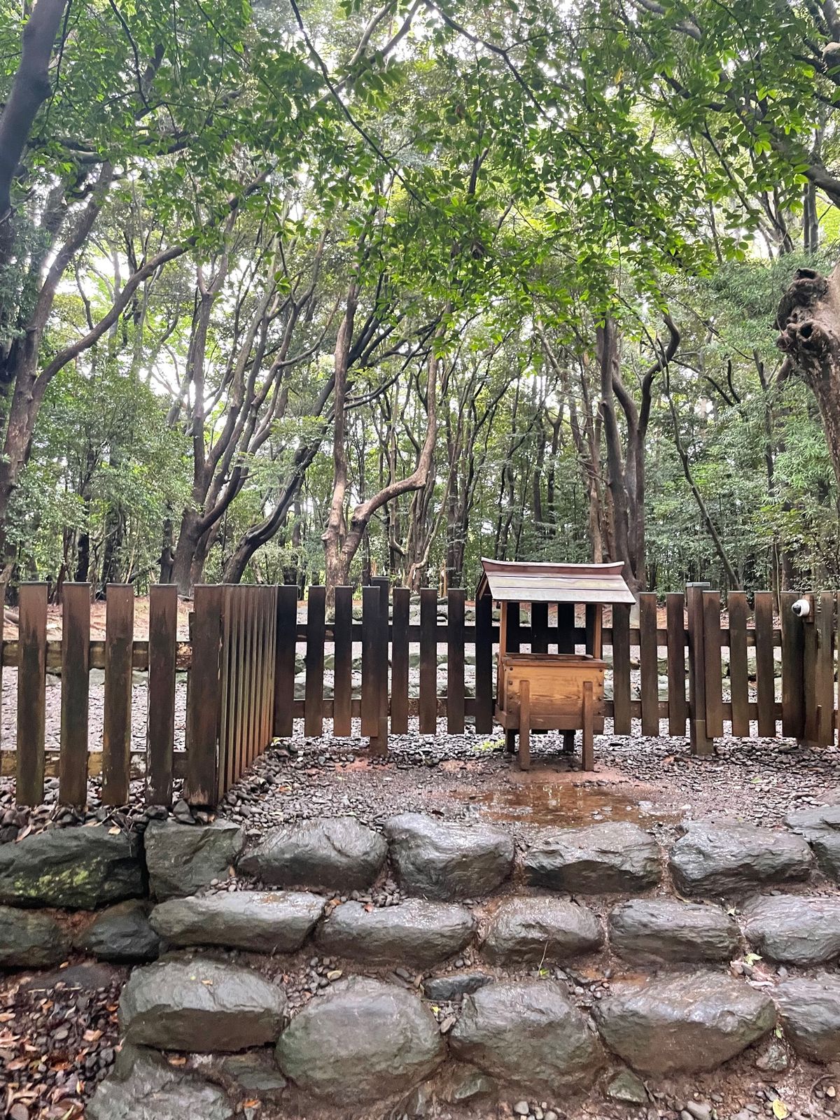 宗像大社　辺津宮⛩️