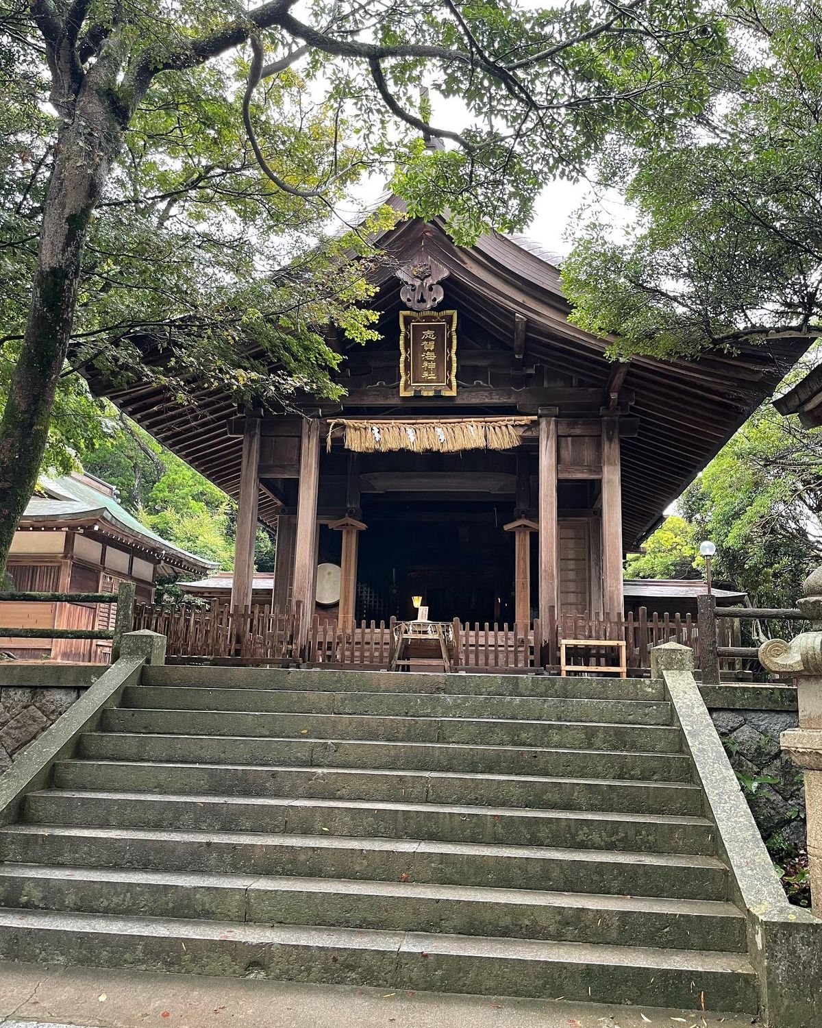 志賀海神社🦌🐉⛩️