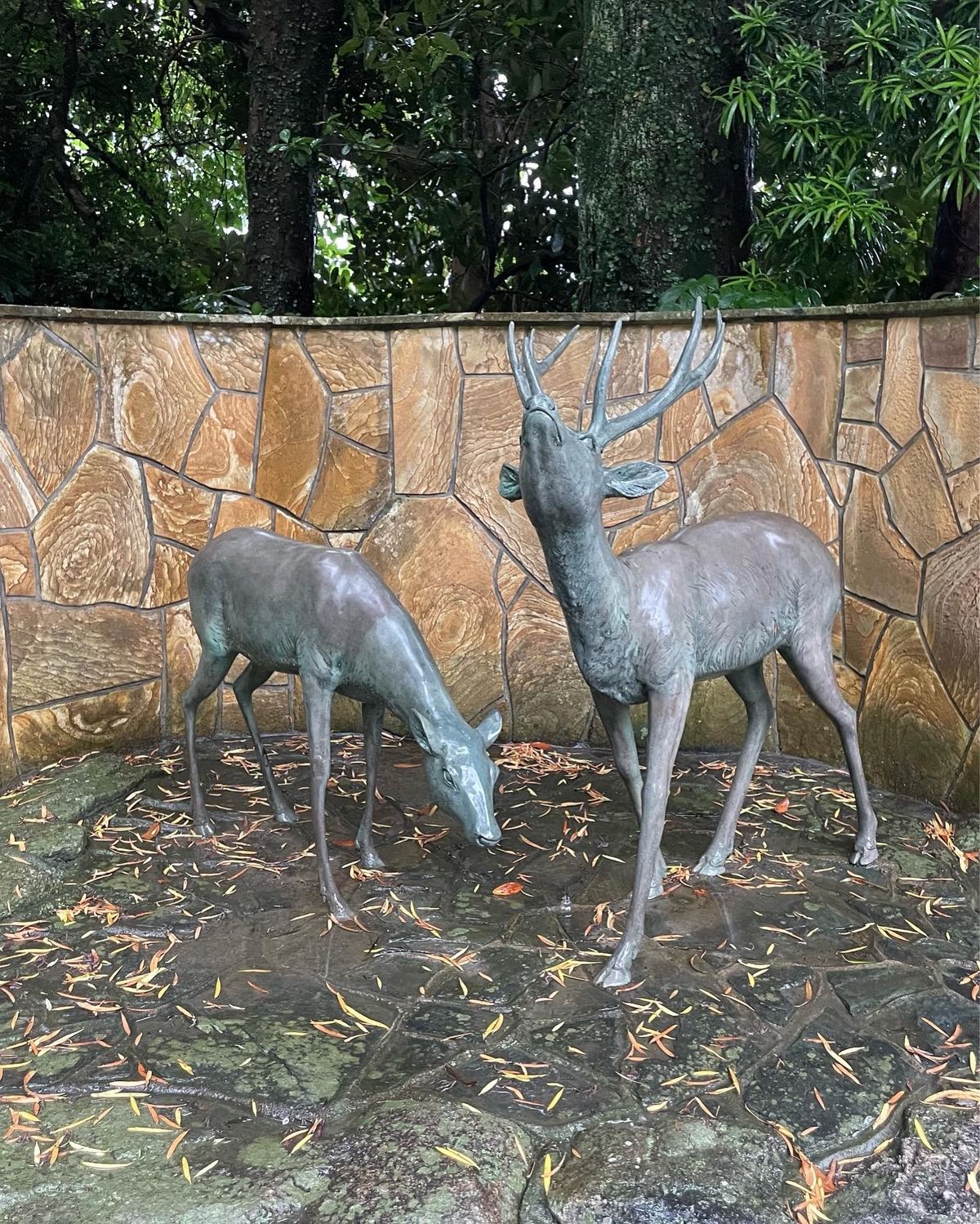 志賀海神社🦌🐉⛩️