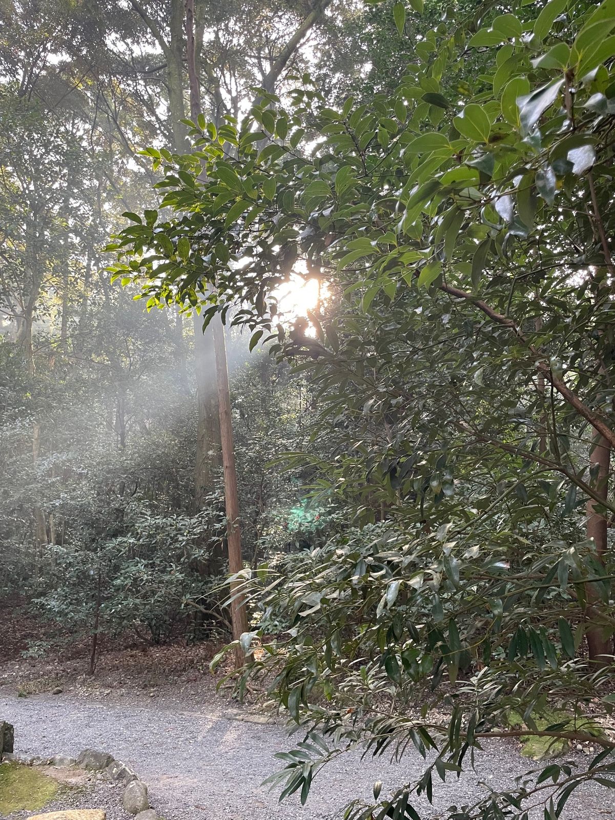 伊勢神宮　外宮