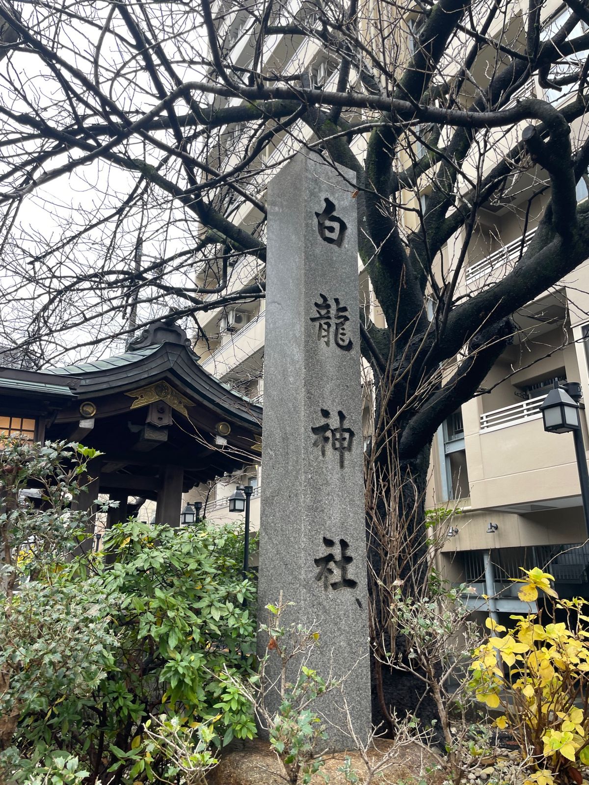 白龍神社⛩️🐉