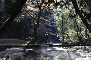 大観峰より雲海
山吹水源
上色見熊野座神社
西湯浦園地展望所