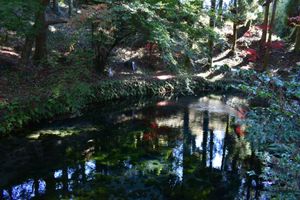 白川水源
東海大学阿蘇キャンパス震災遺構
菊池神社