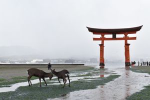 宮島・厳島神社