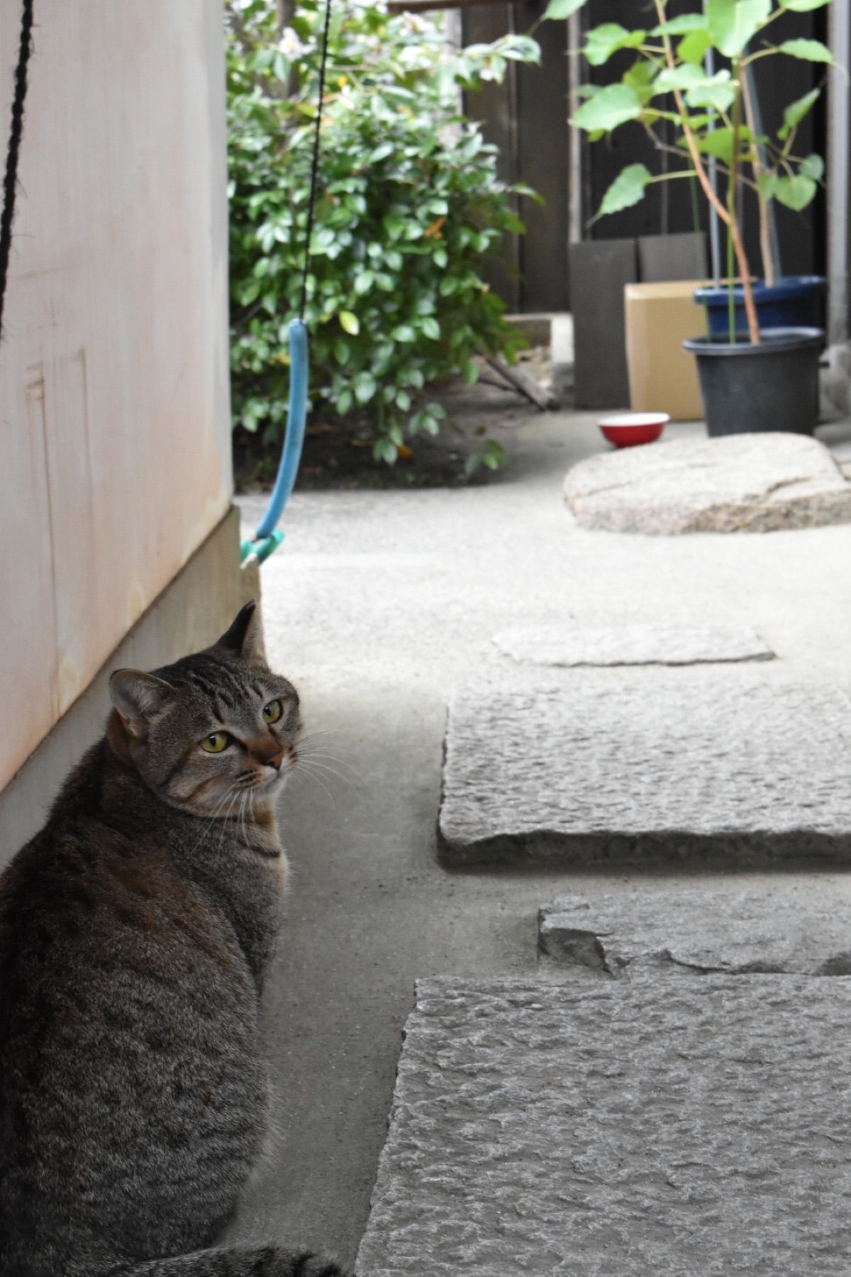 鞆の浦

福禅寺対潮楼
常夜燈
阿伏兎観音