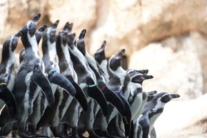 1日目
西海橋
TAOYA

2日目
長崎ペンギン水族館