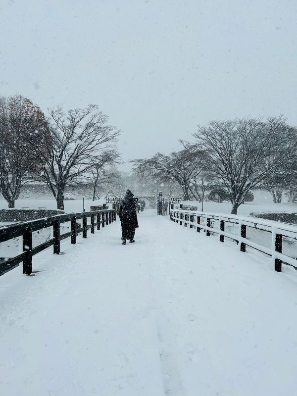 日本・函館市「北海道」の写真