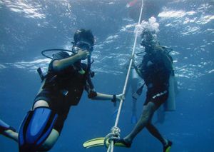 クアラルンプール→バンコク→チェンマイ→バンコク→チュンポーン→タオ島　だ...