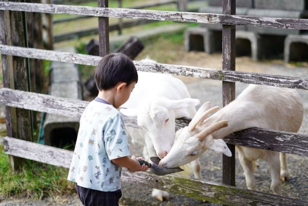 日本・佐賀県「1泊2日　佐賀旅行」の写真