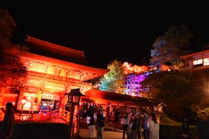 祐徳稲荷神社
狐の嫁入り
海中鳥居
大魚神社