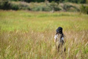 タデ原湿原
稲積水中鍾乳洞