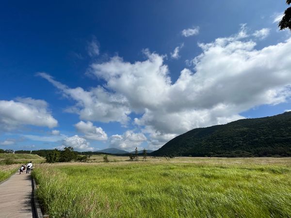 日本・大分県「大分県タデ原湿原・稲積水中鍾乳洞」の写真：タデ原湿原
稲積水中鍾乳洞
