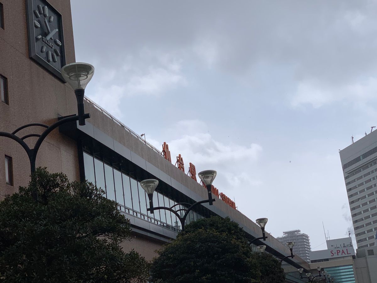 せり鍋美味しかった！