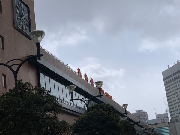 日本・宮城県「仙台上陸！」の写真：せり鍋美味しかった！