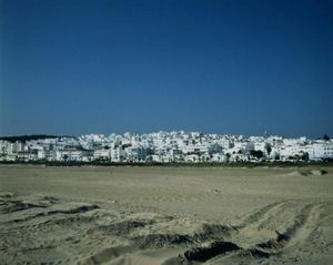 取材旅行でアンダルシア沿岸とセビージャ周辺のボデガ（酒場）を車で周った。写...