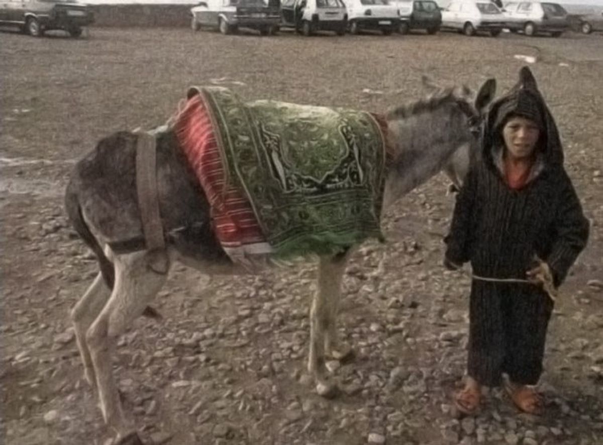 レンタカーでセビージャ、グラナダ、その後フリヒリアナという小さな村へ。さら...