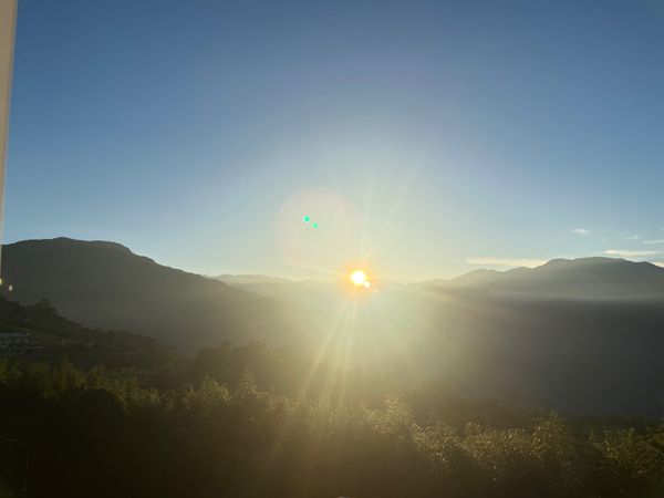台湾・阿里山「台湾お茶旅•夜市旅その１」の写真