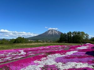 1994年から3年間住んでいた札幌
久しぶりの訪問
やっぱりいいなぁ北海道