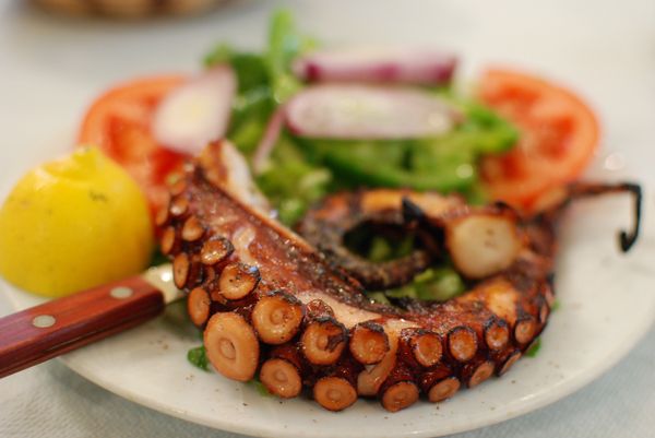 マケドニア共和国・スコピエ「ギリシャ」の写真