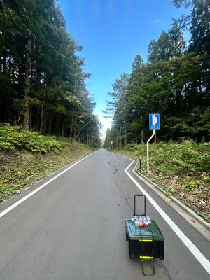 徒歩旅始まって３日目にしていきなり山場到来
『地獄のあすなろライン』
ほぼ...