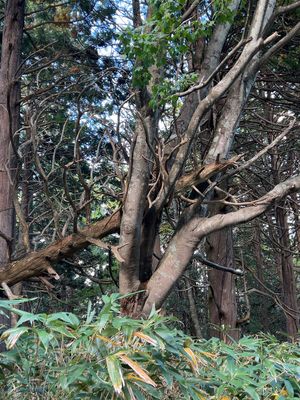 つい３日前にこの旅の山場だ！とか抜かしてたオレをフルスイングで殴りたくなる...