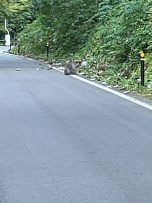 徒歩旅始まって３日目にしていきなり山場到来
『地獄のあすなろライン』
ほぼ...