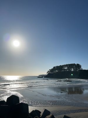 旅のスタートから3週間でふたつめの県、岩手県洋野町に到達
津軽地方は戻りの...