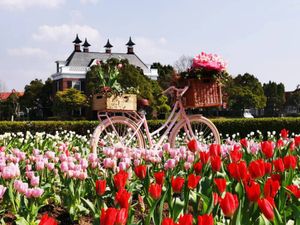 🌷オランダ🇳🇱にいるように🌷