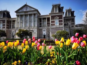 🌷オランダ🇳🇱にいるように🌷