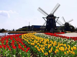 🌷オランダ🇳🇱にいるように🌷