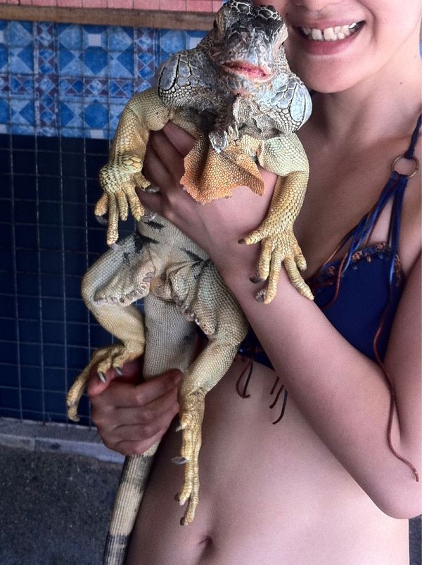 インドネシア・バリ島「初バリ」の写真：ヌサドゥアビーチからジェットスキーで亀の島へ