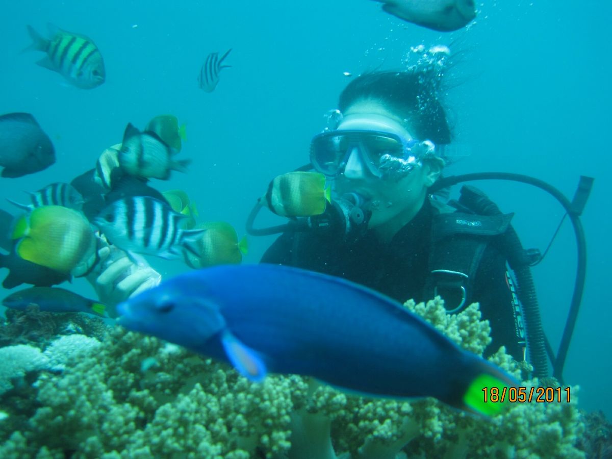 一日だけの休日
ヌサドゥアビーチでダイビング
夜はウブドでバリ舞踊
仕事早...