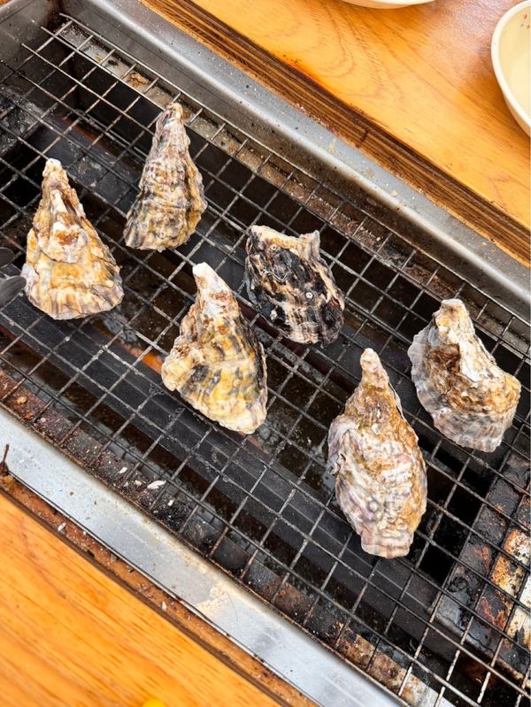 日本・岡山県「雨の一泊二日旅🚗」の写真