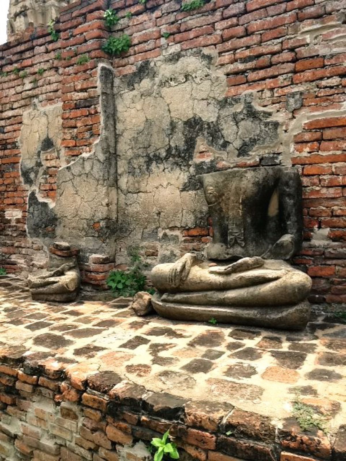 アユタヤとゾウ